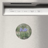 ワイルドアイリス マグネット (インサイチュ (食洗機))