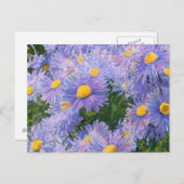 ワイルドアスターミックスメディアスケッチ ポストカード (正面/裏面)