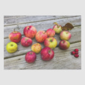 ワイルドアップルコレクション 薄葉紙 (正面)