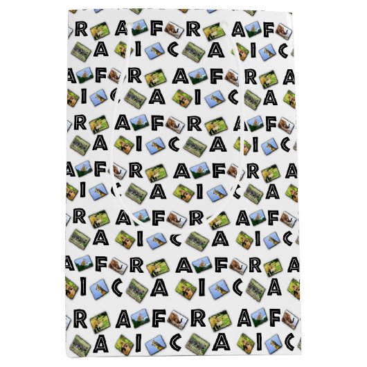 ワイルドアフリカコラージュ中抱き枕 ミディアムペーパーバッグ (正面)