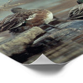 ワイルドアメリカンウィグオンダックポスター ポスター (角)