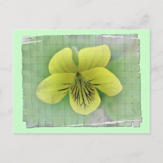 ワイルドイエローバイオレット調整アイテム ポストカード (正面)