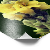 ワイルドイエロームレインフラワー8x10 フォトプリント            (角)