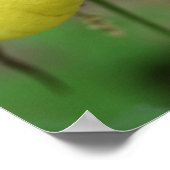 ワイルドイエローレディースリッパーオーキッドフラワー ポスター (角)