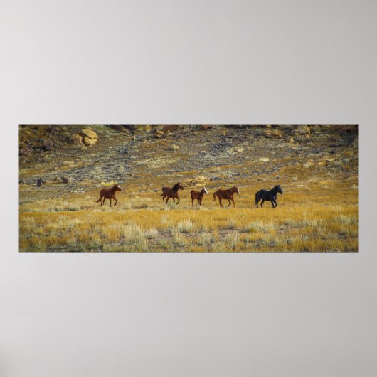 ワイルドウェスト ポスター (正面)