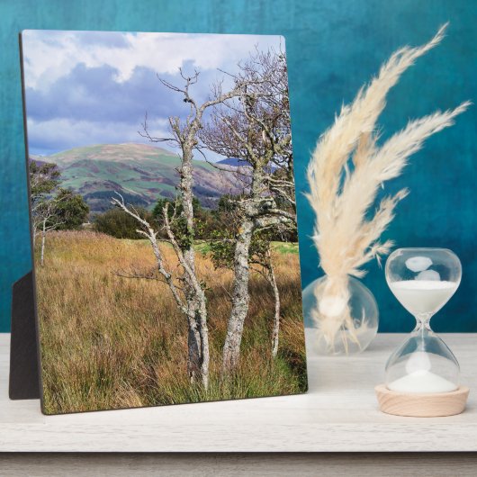 ワイルドウェールズ フォトプラーク (側面)