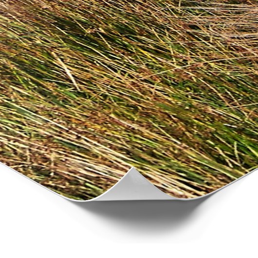 ワイルドウェールズ ポスター (角)