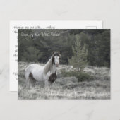 ワイルドウエストのアイコン – はがき (正面/裏面)