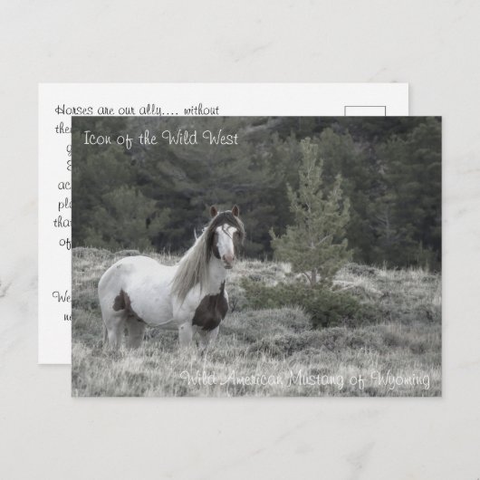 ワイルドウエストのアイコン – はがき (正面/裏面)