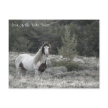 ワイルドウエストのアイコン – はがき