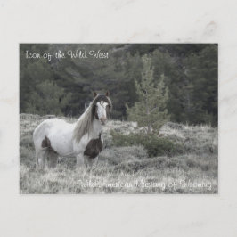ワイルドウエストのアイコン – はがき