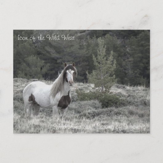 ワイルドウエストのアイコン – はがき (正面)