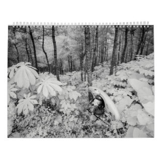 ワイルドウォーター2016年 カレンダー