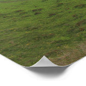 ワイルドウォーター ポスター (角)