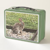 ワイルドウサギby the Garden、弁当箱 メタルランチボックス (裏面)