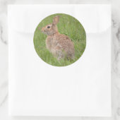 ワイルドウサギin My Backyard ラウンドシール (バッグ)