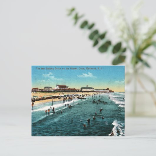 ワイルドウッド、ニュージャージー、ヴィンテージ ポストカード (スタンド正面)