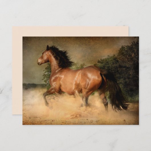 ワイルドウマのはがき ポストカード (正面/裏面)