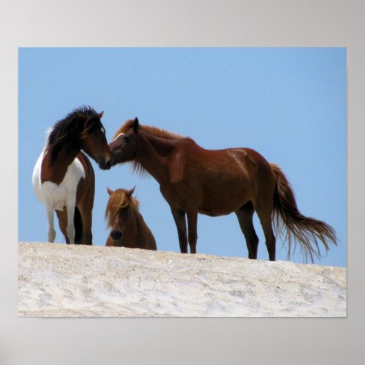 ワイルドウマのポスター ポスター (正面)