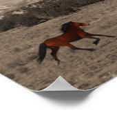 ワイルドウマのポスター ポスター (角)