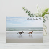 ワイルドウマアウターバンクスOBXコロラNCフラットカード (スタンド正面)