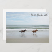 ワイルドウマアウターバンクスOBXコロラNCフラットカード (正面/裏面)