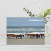 ワイルドウマアウターバンクスOBXコロラNCフラットカード (スタンド正面)