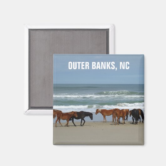ワイルドウマズアウターバンクOBXノースカロライナ マグネット (正面/裏面)