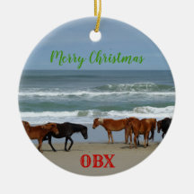 ワイルドウマズコロラアウターバンクOBX