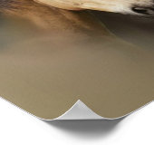 ワイルドウマズスリープリント ポスター (角)