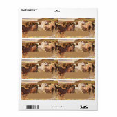 ワイルドウマズホース走スンペデアート住所 シール (フルシート)