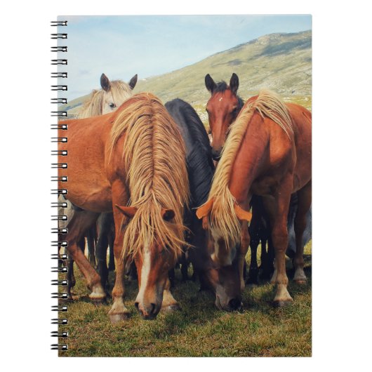 ワイルドウマズリヴノ自然シーン ノートブック (正面)