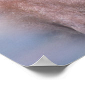 ワイルドウマプリント ポスター (角)