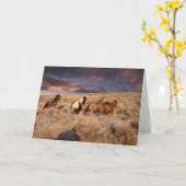 ワイルドウマランニングーズ カード (黄色い花)