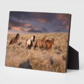 ワイルドウマランニングーズ フォトプラーク (側面)