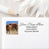 ワイルドウマ差出人住所 ラベル (インサイチュ)