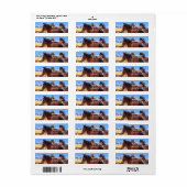 ワイルドウマ差出人住所 ラベル (フルシート)