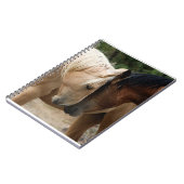 ワイルドウマ手帳 ノートブック (左側)