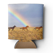 ワイルドウマ走ーズと虹