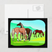 ワイルドウーズ食べズグラスフィールド牧草山 ポストカード (正面/裏面)