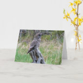 ワイルドウ素晴らしルの灰色フクロウ カード (黄色い花)