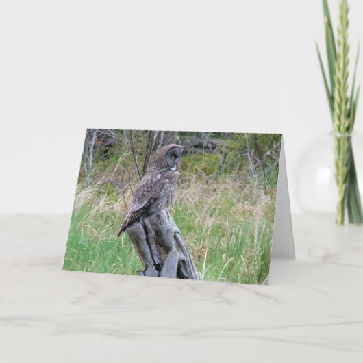 ワイルドウ素晴らしルの灰色フクロウ カード (正面)