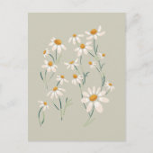 ワイルドエステティックカモミールカモミレ繊細な花 シーズンポストカード (正面)