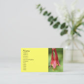 ワイルドオダマキ（植物）フラワー写真ビジネスカード 名刺 (スタンド正面)