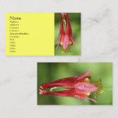 ワイルドオダマキ（植物）フラワー写真ビジネスカード 名刺 (正面/裏面)