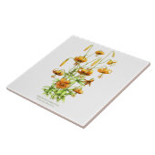 ワイルドオレンジタイガーリリーフローラスタイルアート タイル (側面)