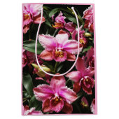 ワイルドオーキズ抱き枕 ミディアムペーパーバッグ (正面)