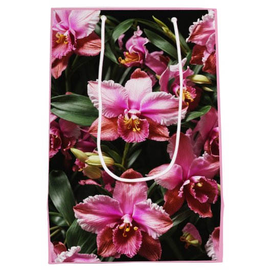 ワイルドオーキズ抱き枕 ミディアムペーパーバッグ (裏面)