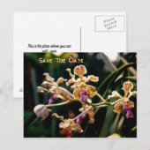 ワイルドオーキッド日付はがきを保存 案内ポストカード (正面/裏面)