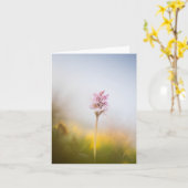 ワイルドオーキッド自然写真 カード (黄色い花)